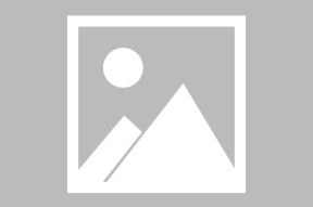 Scout回归赛场，精彩发挥首场状态亮眼，公牛观众沸腾！